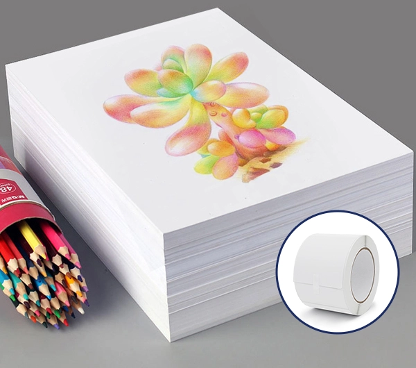 Wood-Free Paper.webp